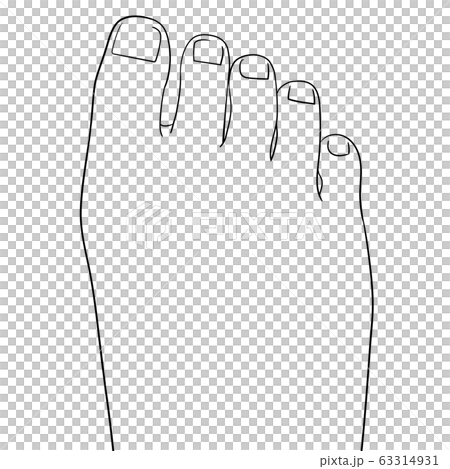 [Human Body Illustration Series] Toes (Table) 63314931