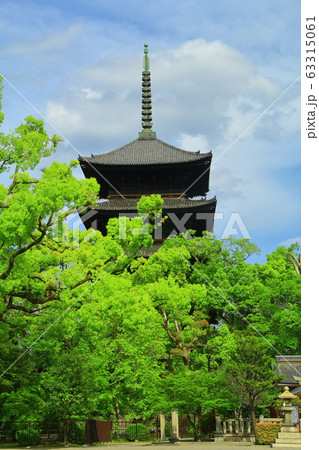 東寺(京都市 南区 )新緑の五重塔 東寺(京都市 南区 )新緑の五重塔 63315061