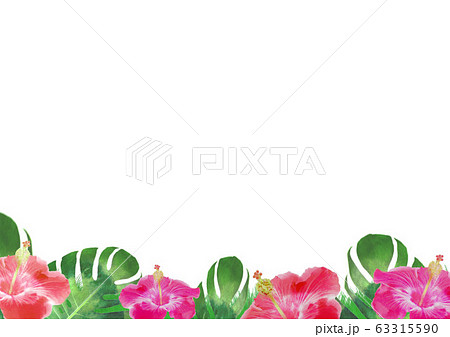 ハイビスカス 背景イラストのイラスト素材