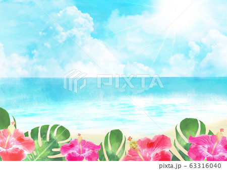 ハイビスカス リゾート地 海 夏 空 背景イラスト ハイビスカス リゾート地 海 夏 空 背景イラスト 63316040