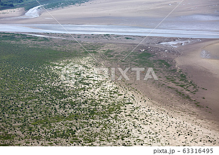 干潟 道路 自然 63316495