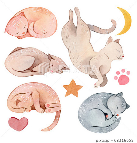 最も選択された 猫 寝る イラスト かわいい Jokioloroblog