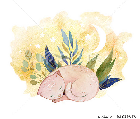 Hand painted watercolor cute sleeping cat composition 63316686