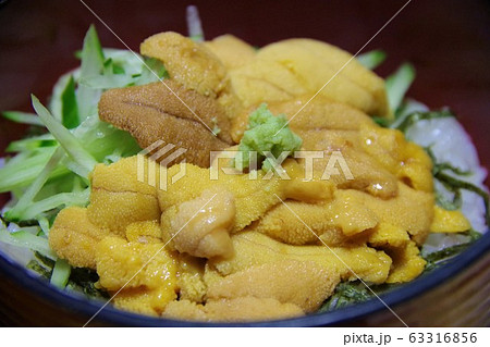 ウニ　ウニ丼 63316856