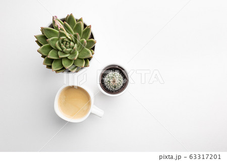 Succulent and cup of coffee 63317201