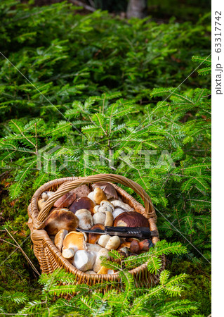 basket full of mushrooms basket full of mushrooms 63317742