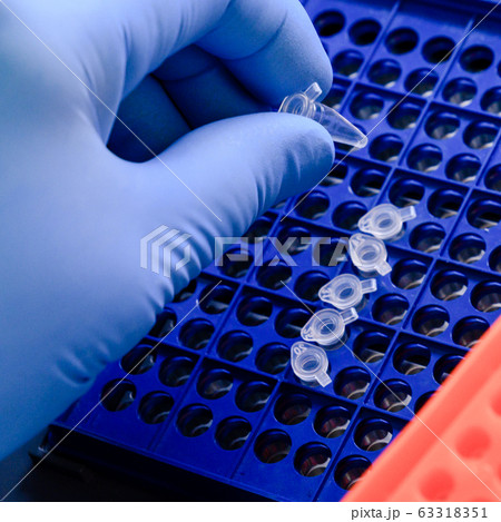 Loading a DNA tube into a PCR (polymerase chain 63318351
