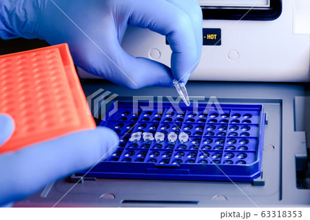 Loading a DNA tube into a PCR (polymerase chain 63318353