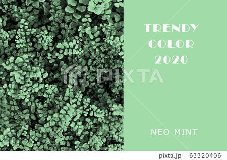 Ivy plant in Neo Mint color. Juicy tones in a new Ivy plant in Neo Mint color. Juicy tones in a new 63320406