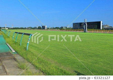 東京競馬場のターフの写真素材 [63321127] - PIXTA