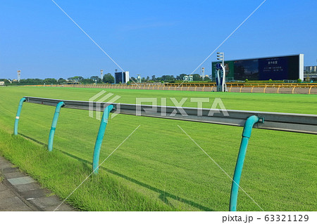 東京競馬場のターフの写真素材 [63321129] - PIXTA