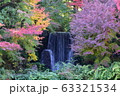 紅葉と滝 63321534
