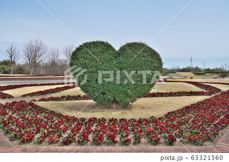 【鈴鹿フラワーパーク】 三重県鈴鹿市加佐登町 【鈴鹿フラワーパーク】 三重県鈴鹿市加佐登町 63321560