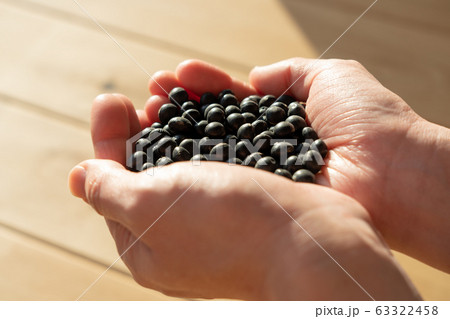 黒豆　黒大豆　豆　手（女性） 63322458