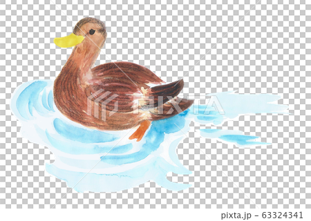 カモ アヒル カモ アヒル 63324341