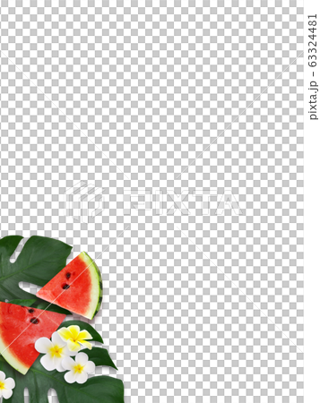背景夏季西瓜蒙大拿州雞蛋花白色背景 63324481