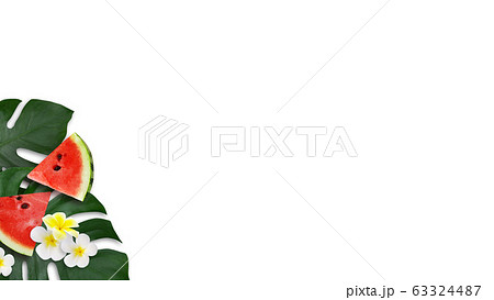 背景-夏-スイカ-モンステラ-プルメリア-白バック 63324487