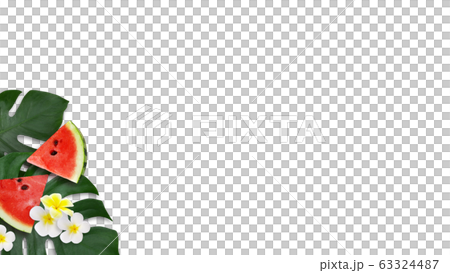 背景夏季西瓜蒙大拿州雞蛋花白色背景 63324487