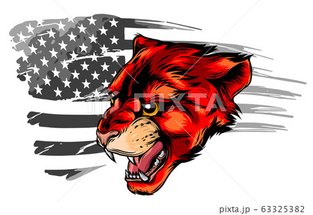 Embroidery tiger head and rippled American flag. Cool slogan. 63325382