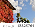 ツタに覆われた建物 63325764