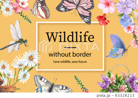 Insect and bird frame design with butterfly, Insect and bird frame design with butterfly, 63326213
