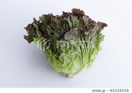 レタス レタス 63326439