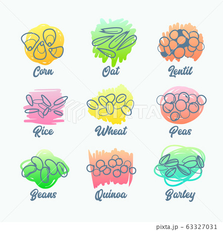 Set Cereal Types, Isolated Icons of Corn, Oat and Lentil, Rise Wheat and Peas, Beans Quinoa and Barley. Stylized Grain Labels for Groats Packing Design, Advertising Healthy Food. Vector Illustration Set Cereal Types, Isolated Icons of Corn, Oat and Lentil, Rise Wheat and Peas, Beans Quinoa and Barley. Stylized Grain Labels for Groats Packing Design, Advertising Healthy Food. Vector Illustration 63327031