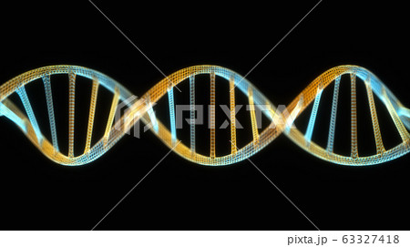DNA Genetic Molecular Structure DNA Genetic Molecular Structure 63327418