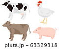 畜肉の動物セット　乳牛　肉牛　鶏　豚 63329318