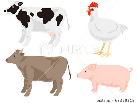 畜肉の動物セット　乳牛　肉牛　鶏　豚 63329318