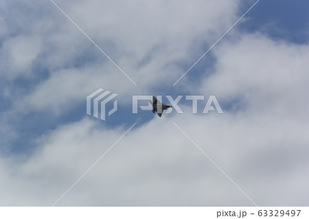 大空を翔るアメリカ空軍の戦闘機F-22ラプター 63329497