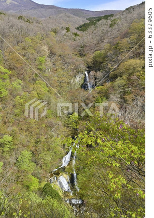 日光霧降の滝展望台からの霧降の滝 日光霧降の滝展望台からの霧降の滝 63329605