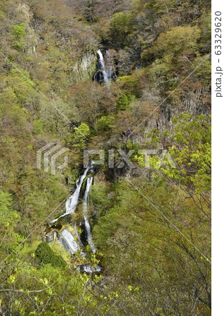 日光霧降の滝展望台からの霧降の滝 63329620