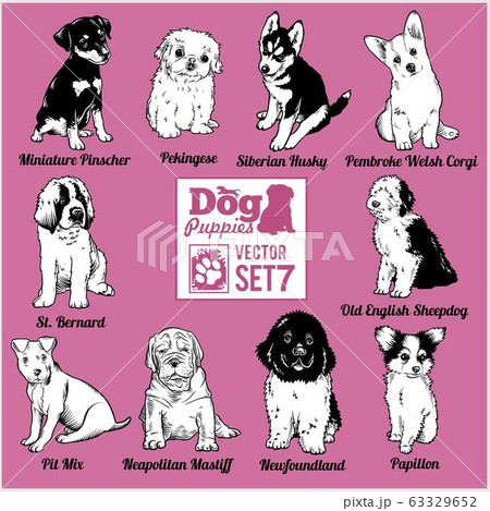 Dog Puppies Vector Set Funny Dogs Puppy Pet のイラスト素材