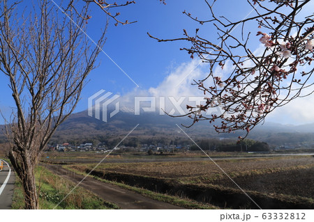 桜の開花と雪化粧の筑波山 桜の開花と雪化粧の筑波山 63332812