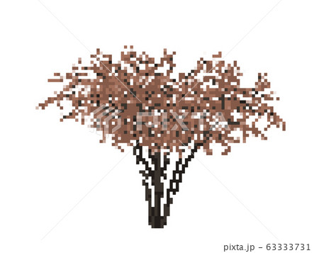 Barberri tree. Isolated on white. Vector 63333731