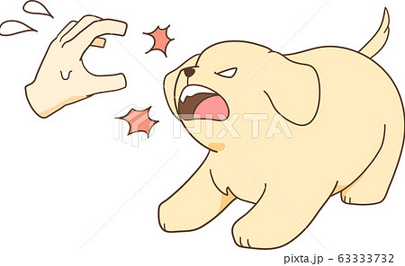 ゴールデンレトリバーの子犬 撫でようとする手を威嚇する のイラスト素材