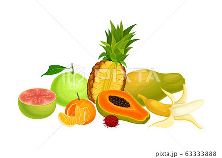 Exotic Fruits Composition with Pineapple and Papaya Vector Illustration Exotic Fruits Composition with Pineapple and Papaya Vector Illustration 63333888