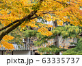 Selective focus branch of yellow maple leaves with copy space during autumn season Selective focus branch of yellow maple leaves with copy space during autumn season 63335737