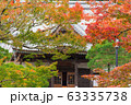 Colorful maple leaves autumn season on nature background Colorful maple leaves autumn season on nature background 63335738