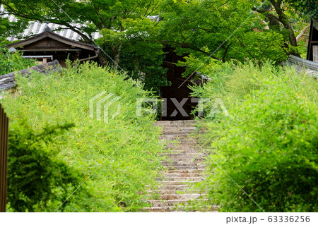 白毫寺5 白毫寺5 63336256