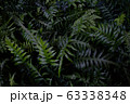 green leaves dark tone 63338348
