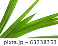pandan leaves isolated on white background 63338353
