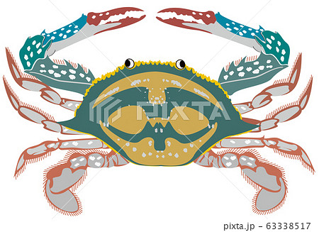 ワタリガニ 63338517