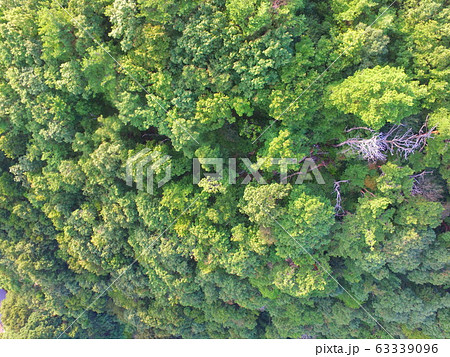 山林〜ドローンで空撮(猪苗代湖・西岸/福島県会津若松市湊町大字赤井字屋敷) 山林〜ドローンで空撮(猪苗代湖・西岸/福島県会津若松市湊町大字赤井字屋敷) 63339096