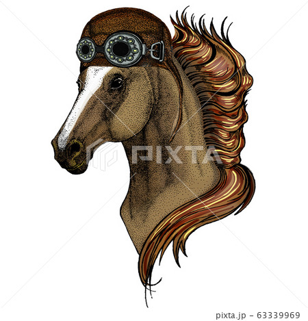 Horse, steed, courser. Portrait of wild animal. Aviator flying leather helmet with googles. Horse, steed, courser. Portrait of wild animal. Aviator flying leather helmet with googles. 63339969