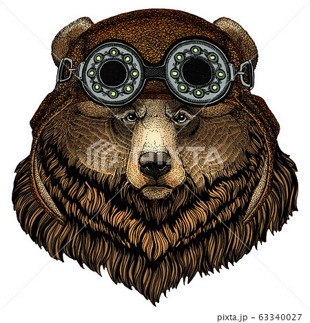 Grizzly Bear Portrait Of Wild Animal Aviator のイラスト素材