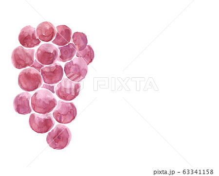 ぶどうのイラスト素材