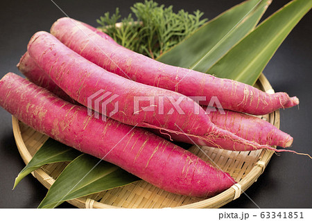 赤カブ (南沢かぶ) 赤カブ (南沢かぶ) 63341851