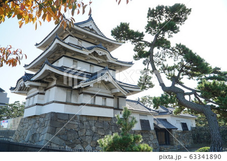 【日本100名城】高松城月見櫓と紅葉 香川県高松市 【日本100名城】高松城月見櫓と紅葉 香川県高松市 63341890